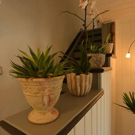 Ferienhaus Modern Holiday Home In Mastershausen With Terrace *